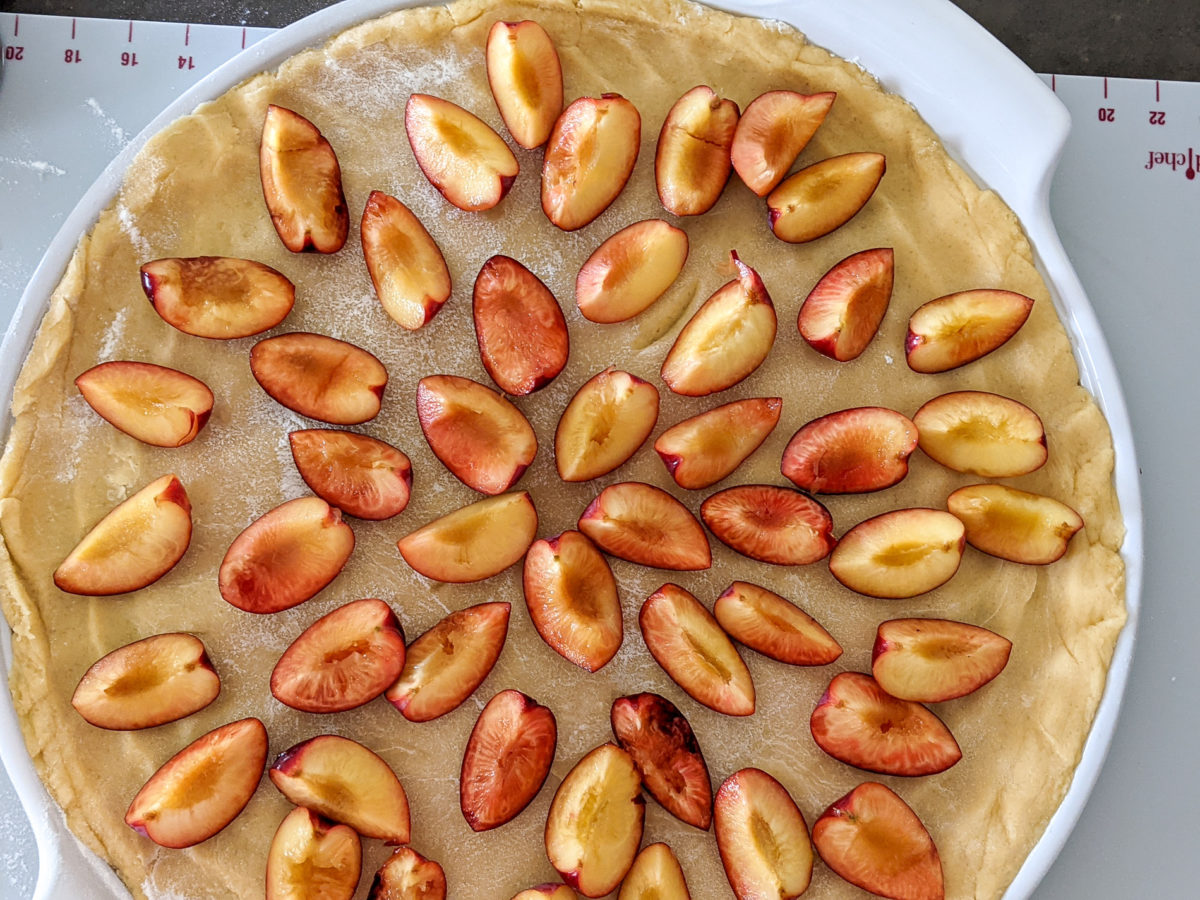 Mirabellen-Streuselkuchen - SinaLeChef - selbstständige Pampered Chef ...